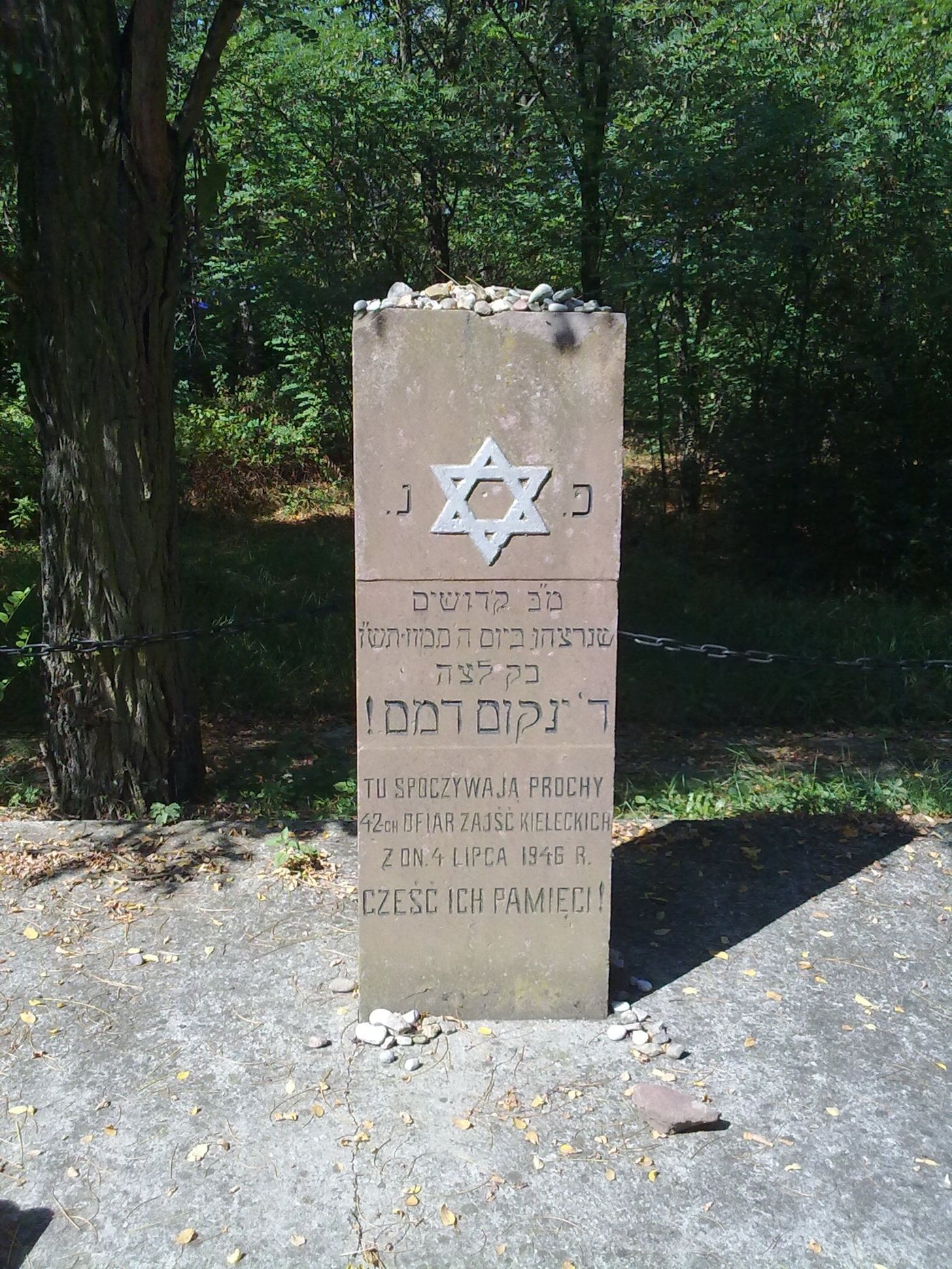 היום בהיסטוריה: ה' בתמוז – הפוגרום ביהודי קיילצה