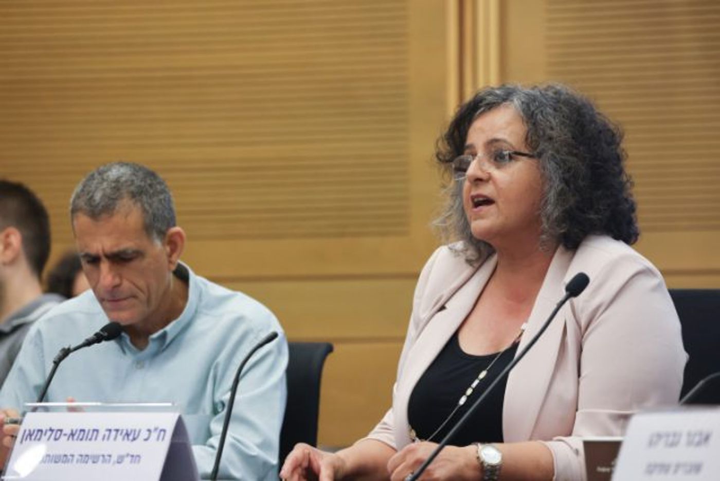 מארגני הכנס