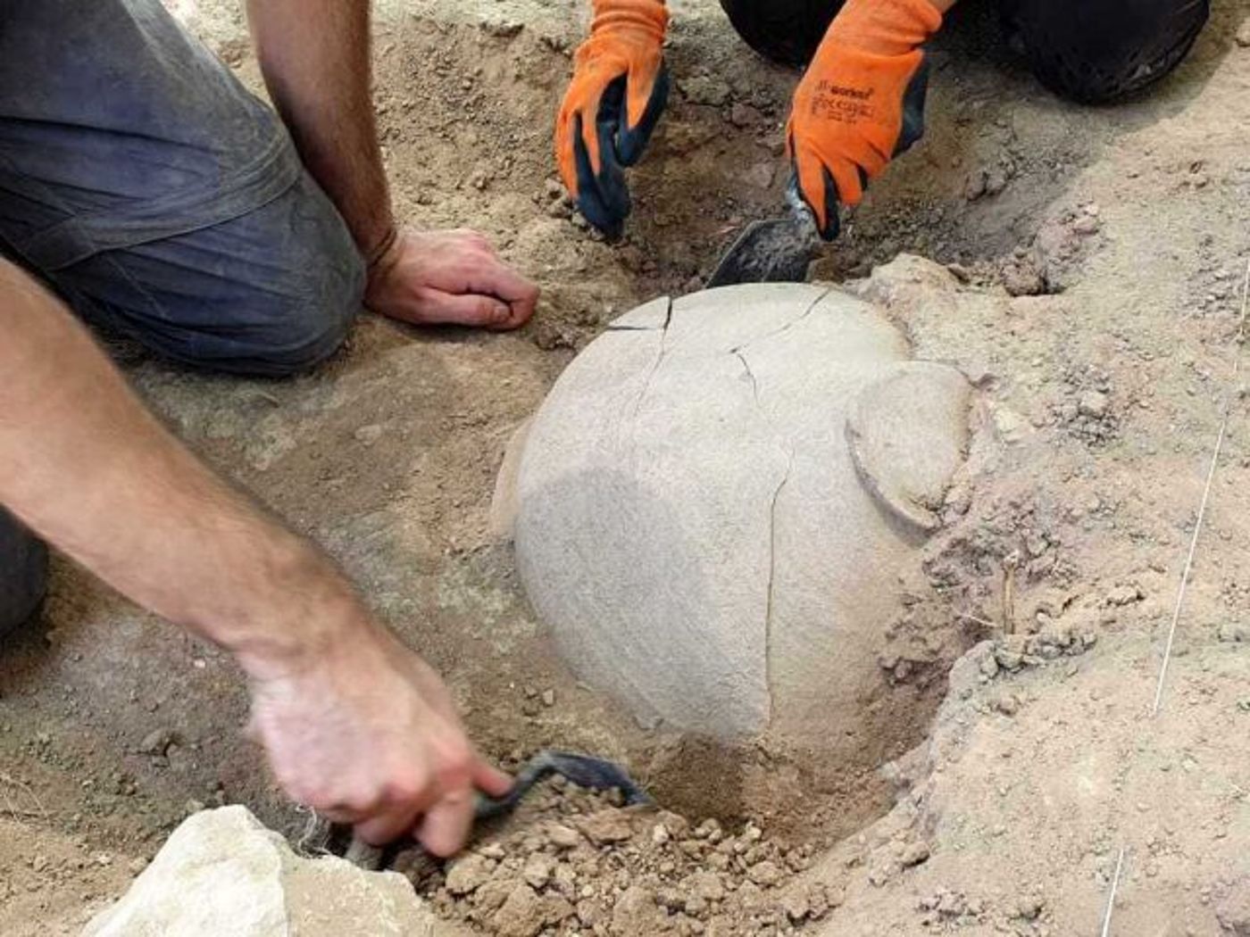 חשיפת קנקן מימי השופטים בחורבת אל ראעי.