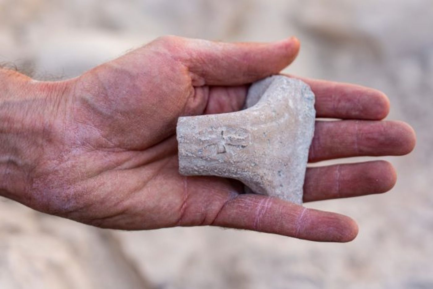 ידית קנקן ועליה טביעת למלך (צילום – יניב ברמן רשות העתיקות)