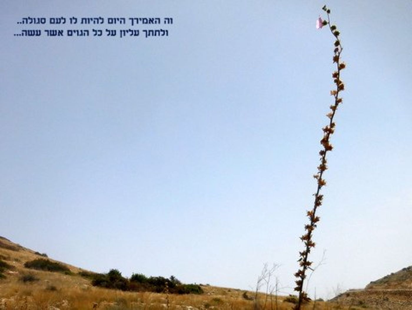 אחרון בסבב: ספר 'דברים' בתמונות מעוררות השראה