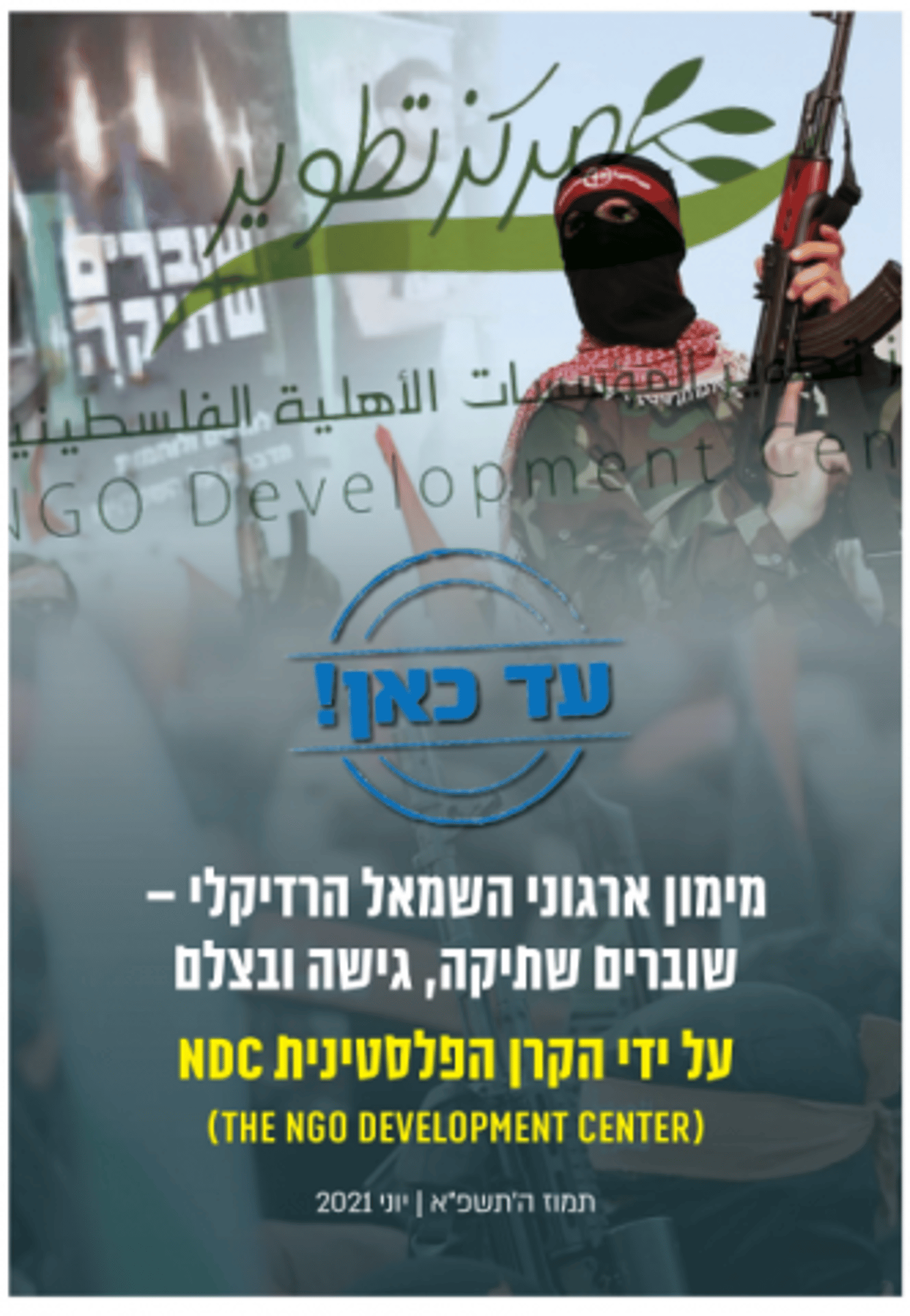 (קרדיט: מתוך הדו"ח)