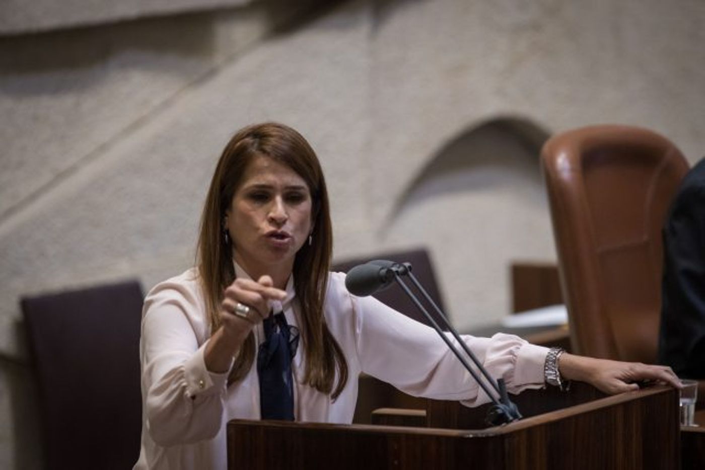 ח"כ בן ארי