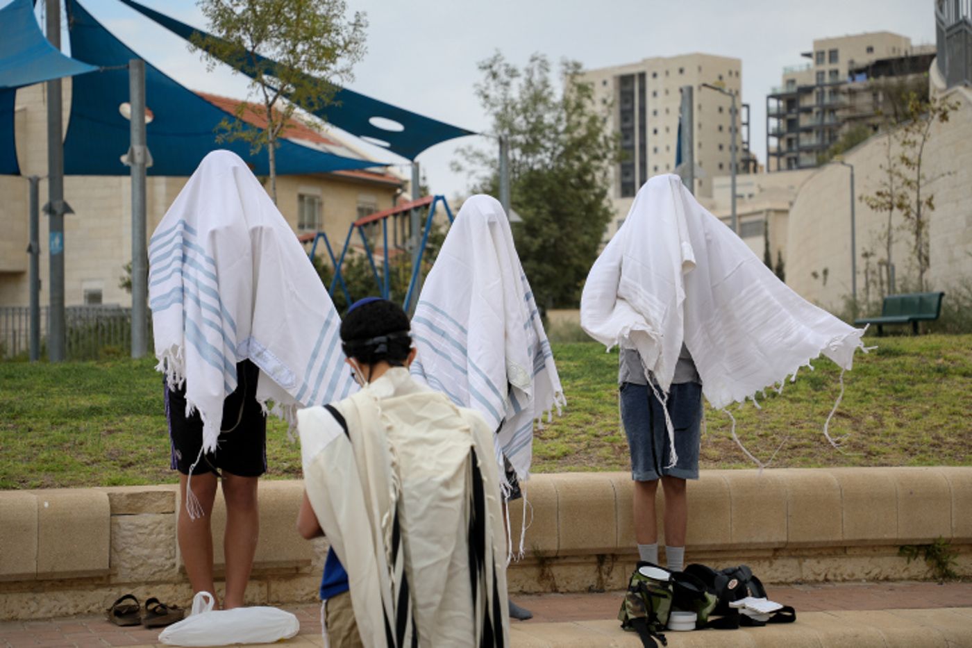 האשמת הגרעינים התורניים בלתי מבוססת | תגובה
