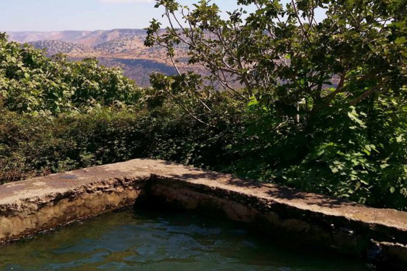 מושלם לקיץ: 4 מעיינות צוננים ברמת הגולן