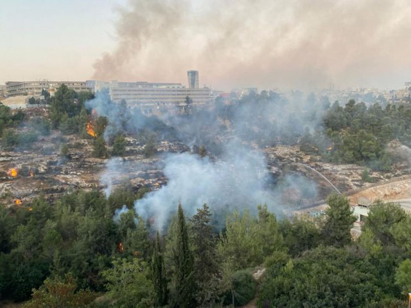 השריפה בגבעת שאול