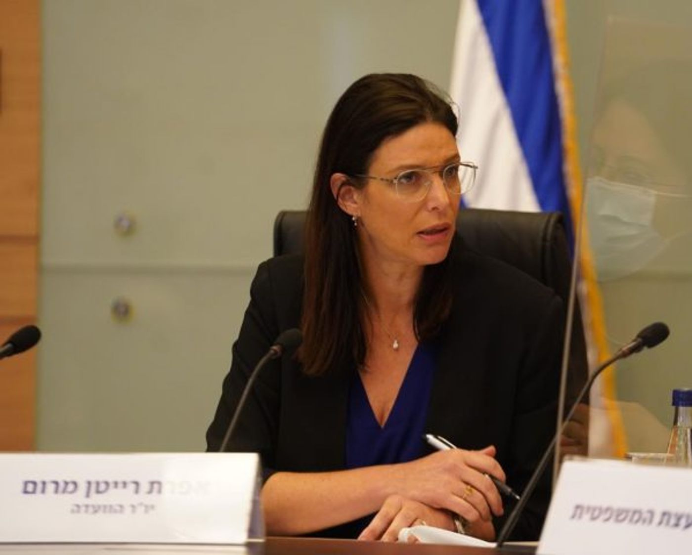 יו"ר הוועדה אפרת ריטן מרום