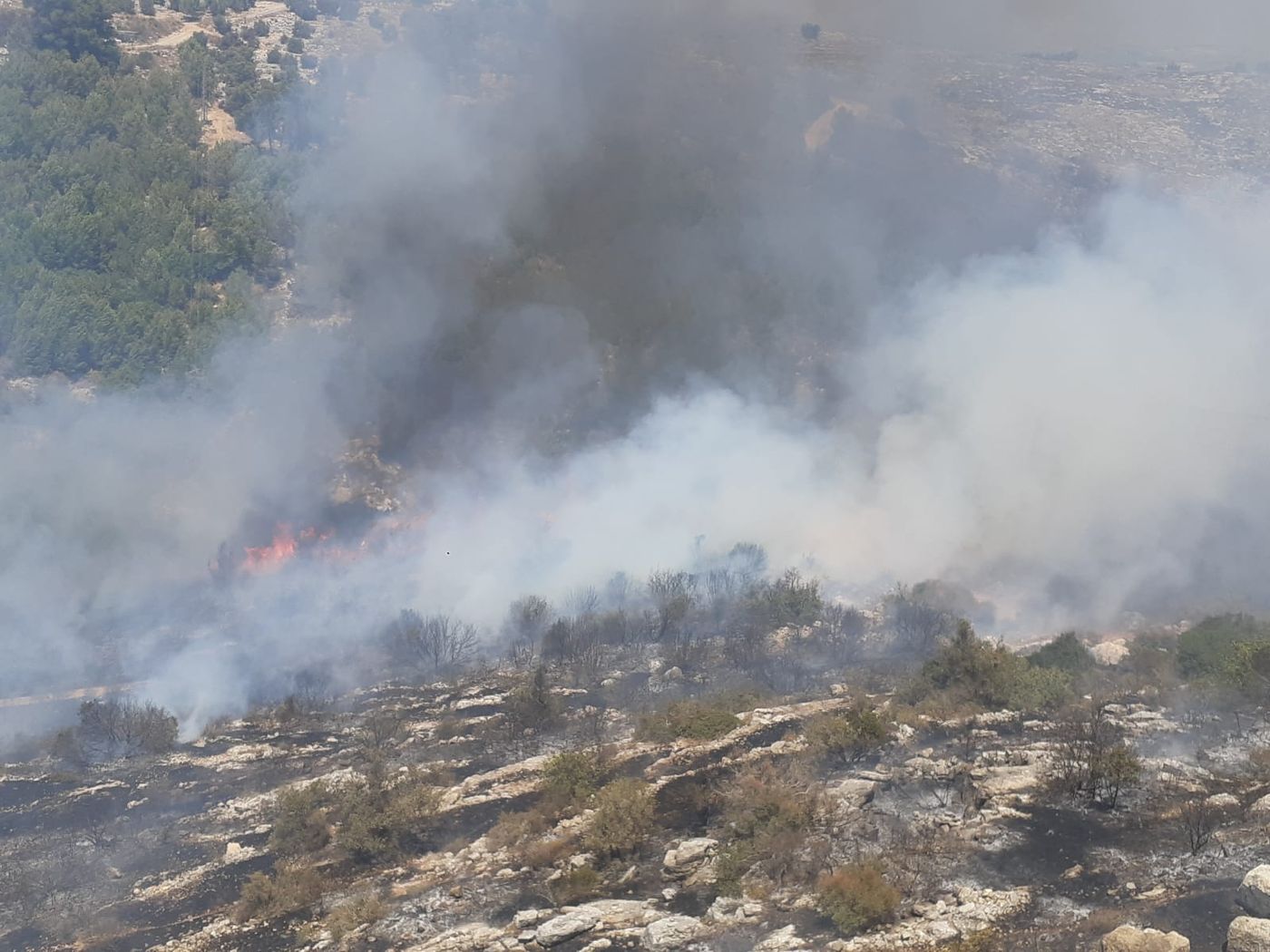 שריפת ענק באלפי מנשה: תושבים בקו הראשון – פונו