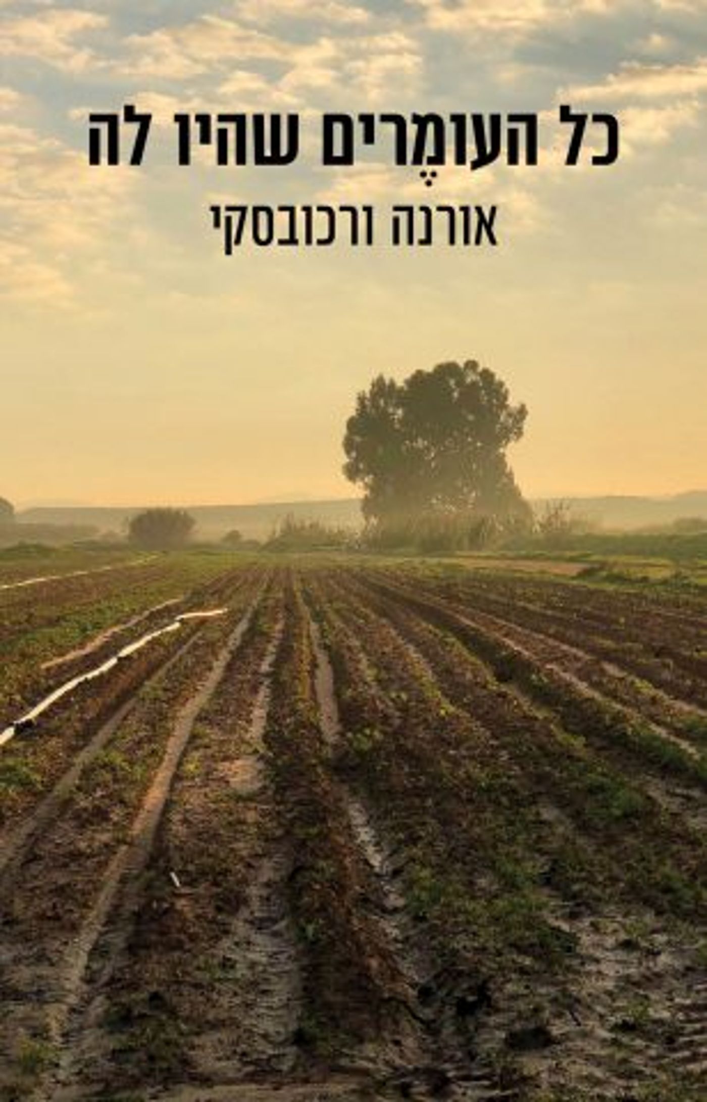 (באדיבות: כנרת זמורה ביתן)