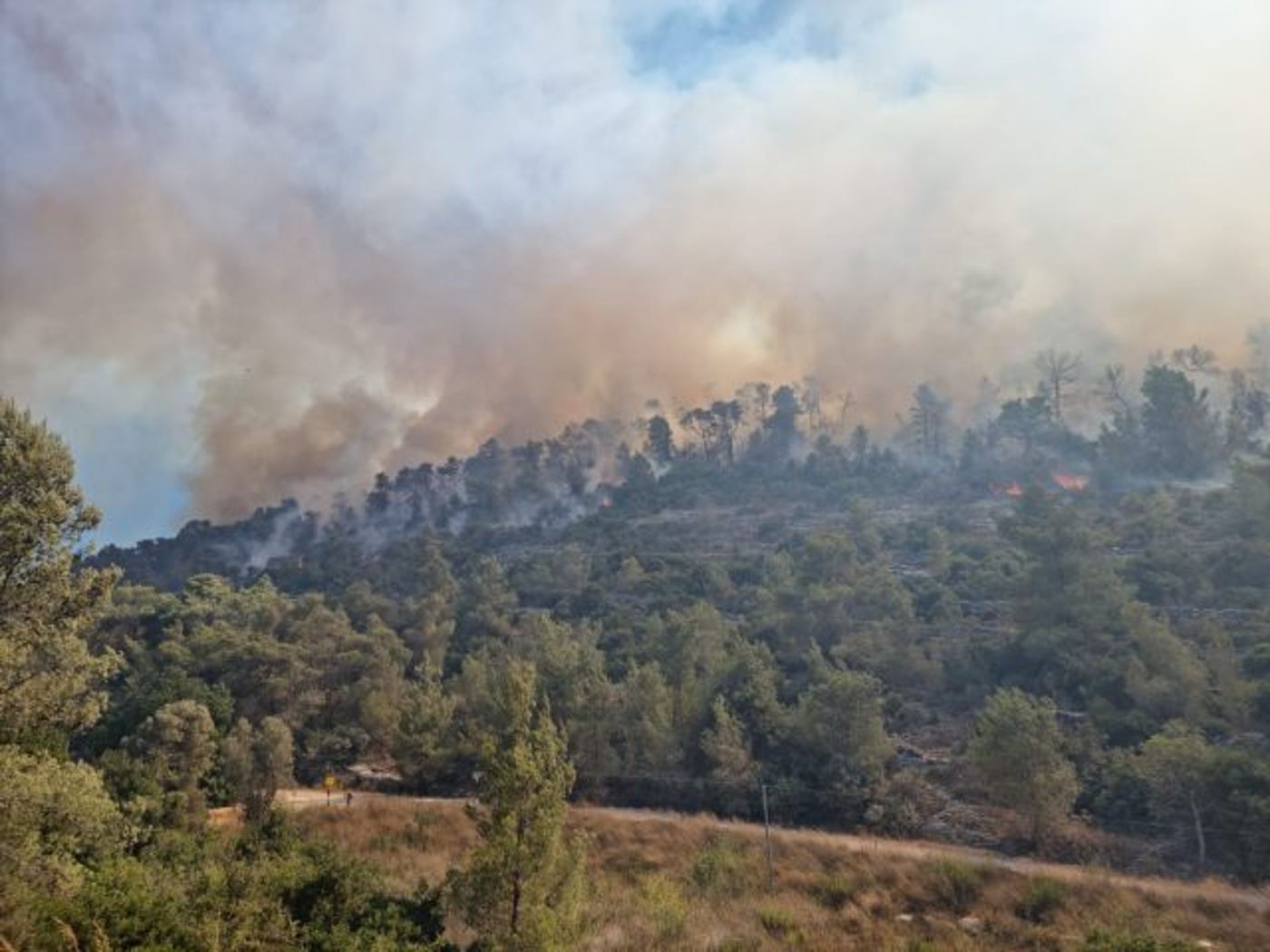 עקב השריפה: בנט קטע את ישיבת הקבינט