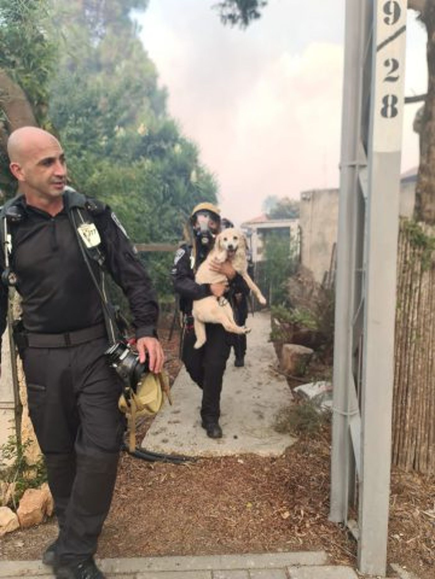 צילומים דוברות המשטרה