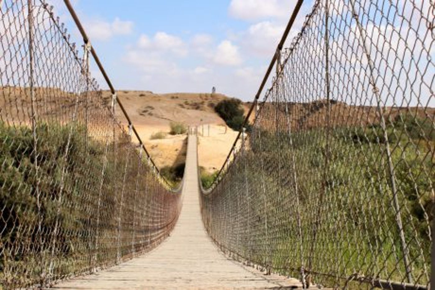 רגע לפני ראש השנה: אירועי סליחות ברחבי הארץ