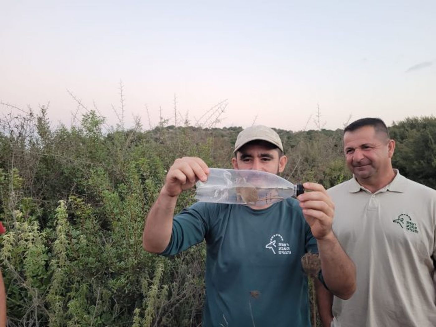 עצוב: מריון מצוי נכלא בבקבוק פלסטיק