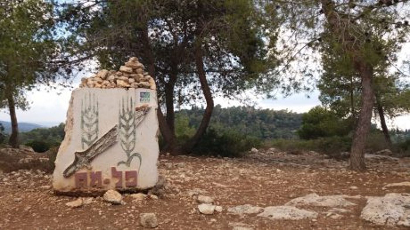 מהגולן ועד הנגב: טיולים מומלצים לחג הסוכות