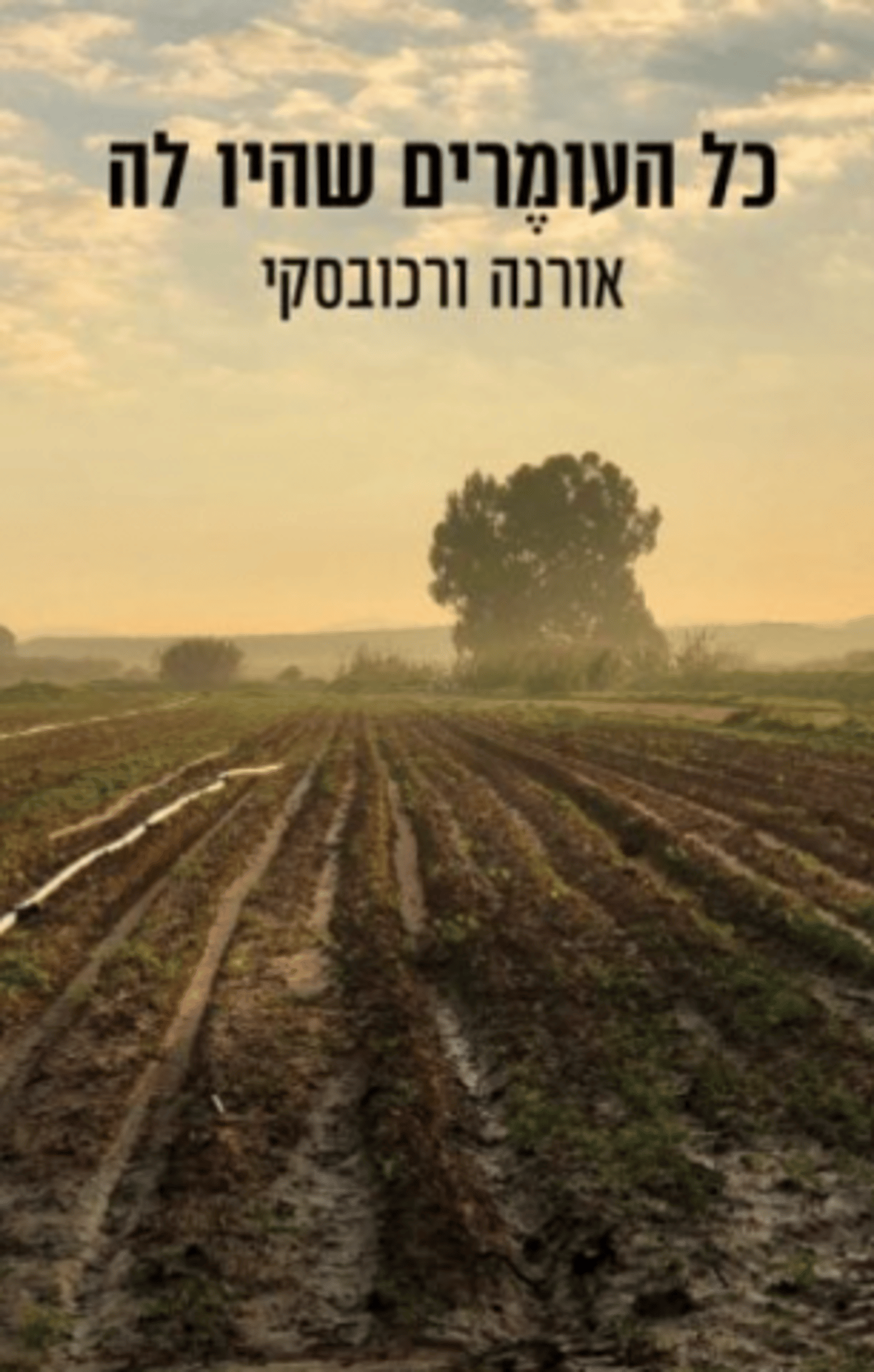 (באדיבות: כנרת זמורה דביר)