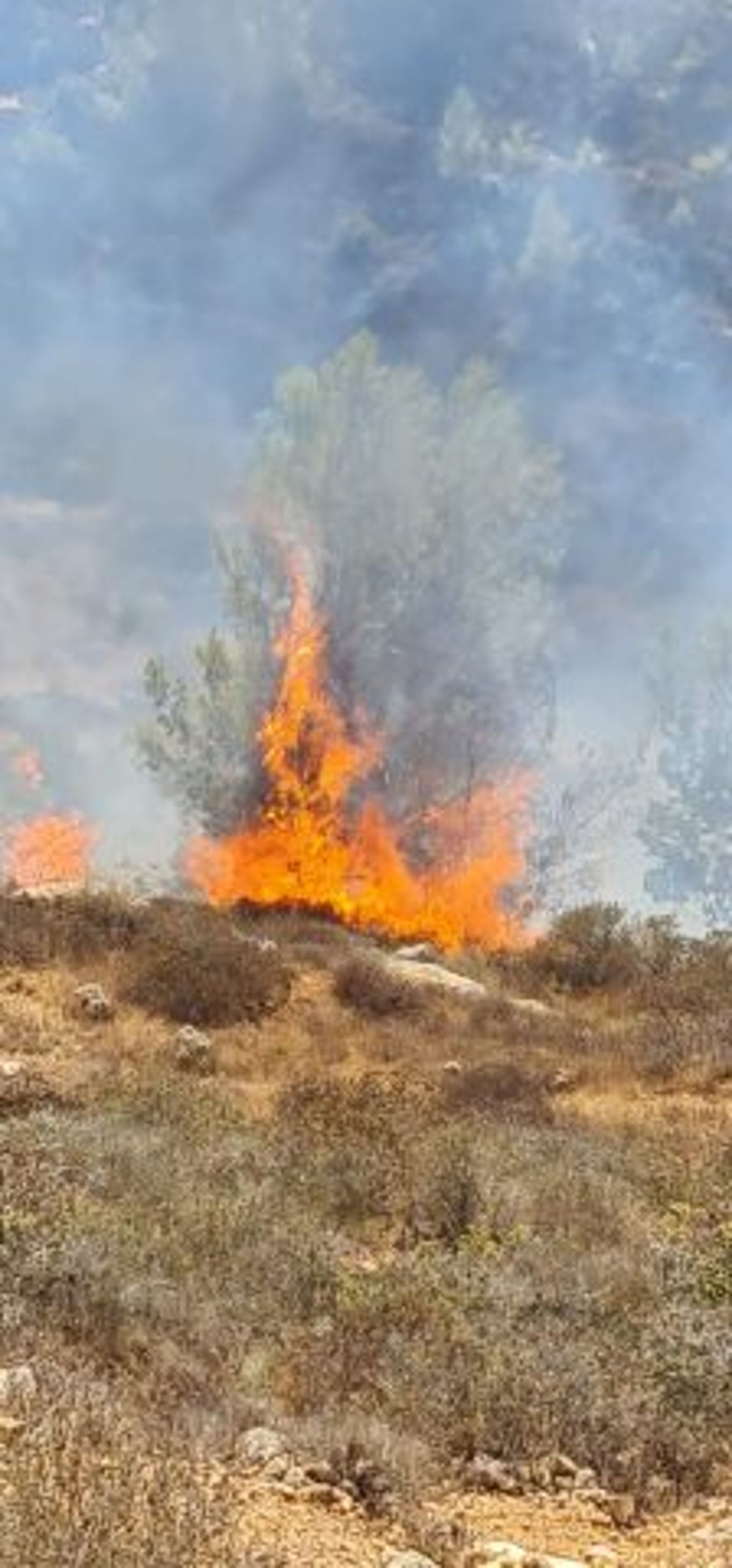 שריפה בהר גילה: ציר וואלג'ה נחסם לתנועה