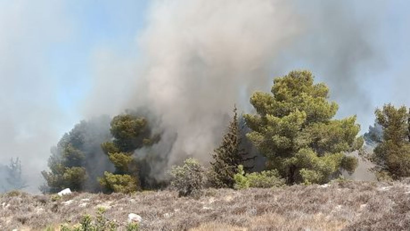 השריפה בגבעות