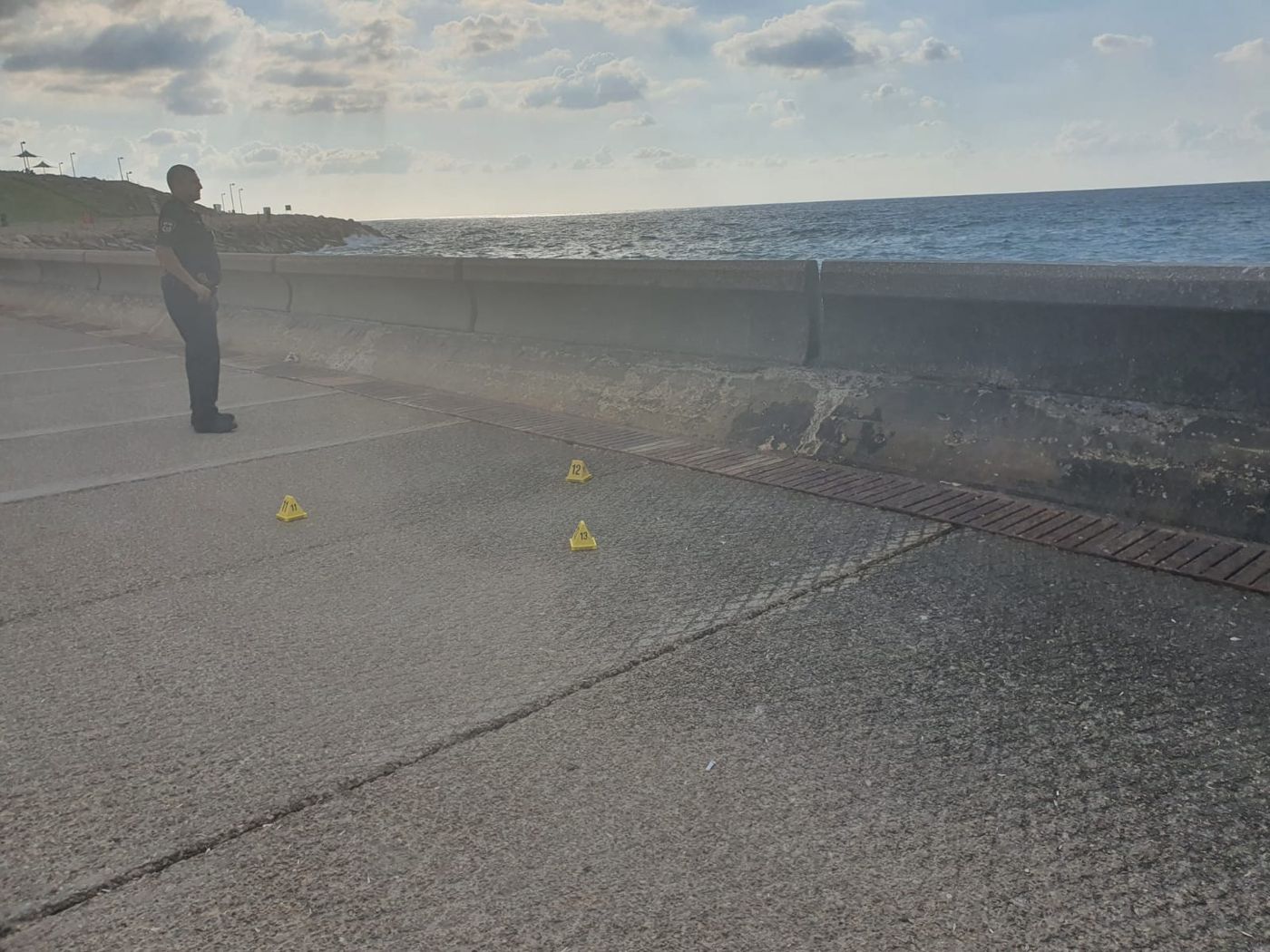 חיסול לאור יום: בן 40 נורה למוות בנמל יפו