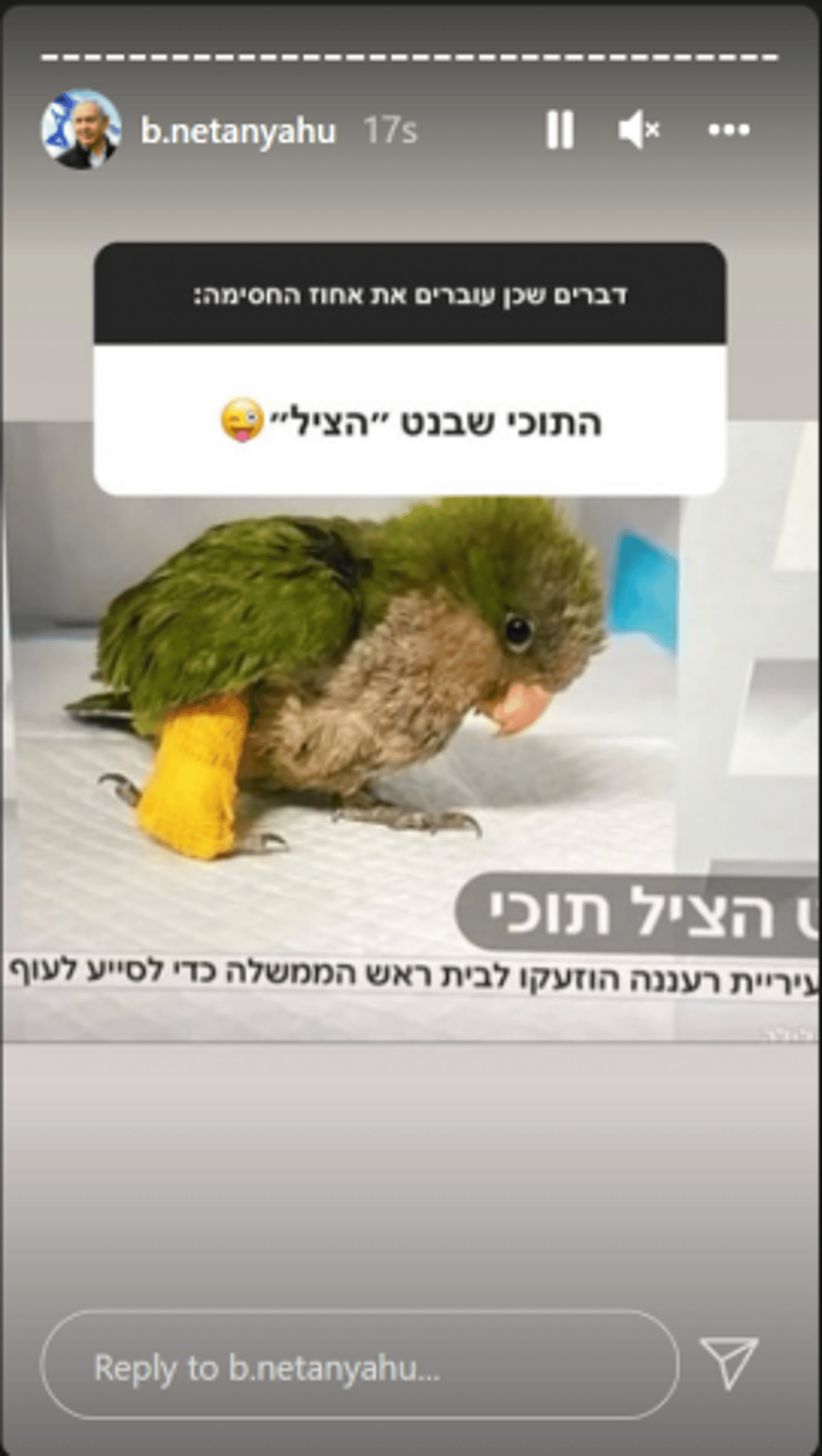 שטיח, חמוצים ופרגולה: נתניהו לועג לבנט