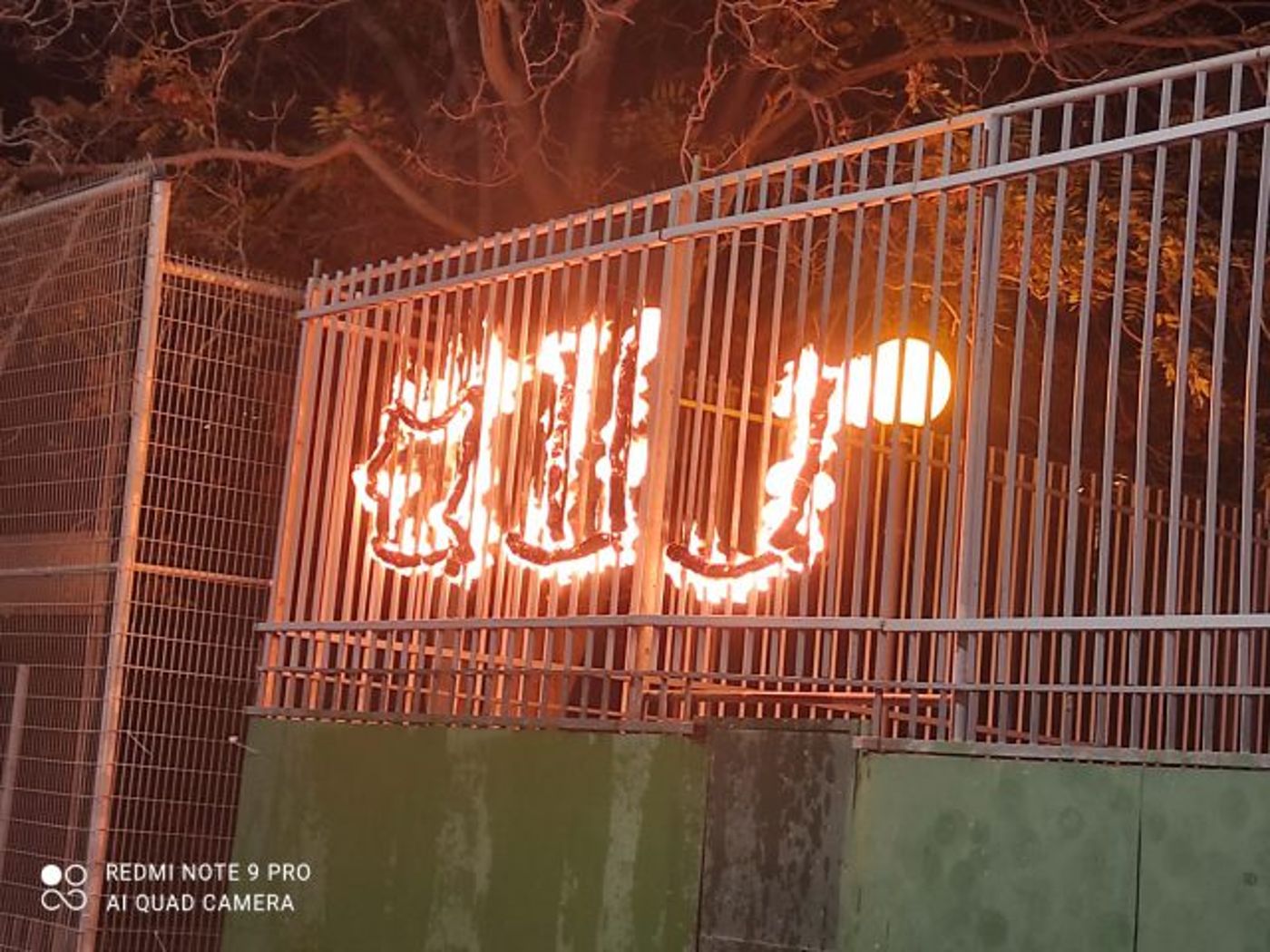 נחשף שם השבט החדש בתנועת אריאל
