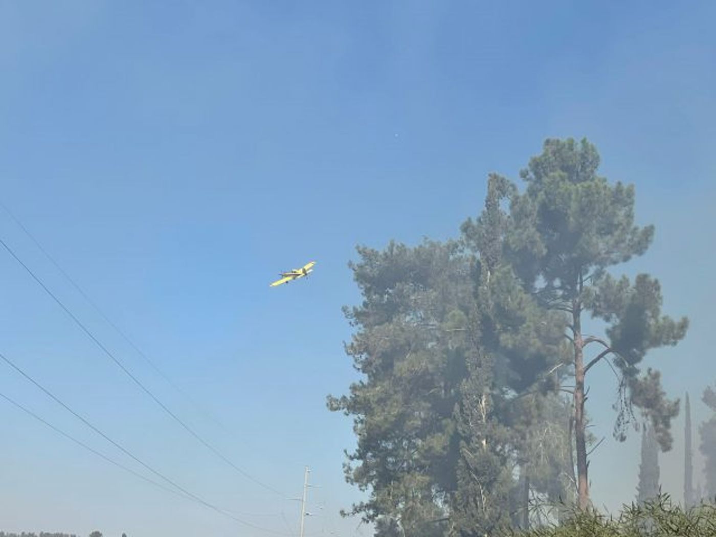 הושגה הכלה על השריפה ביער אשתאול