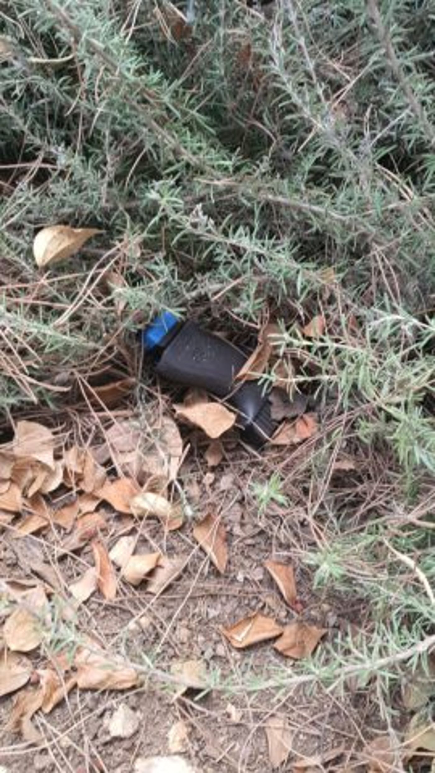 אחרי שבועיים: פוענח הרצח בעמק רפאים