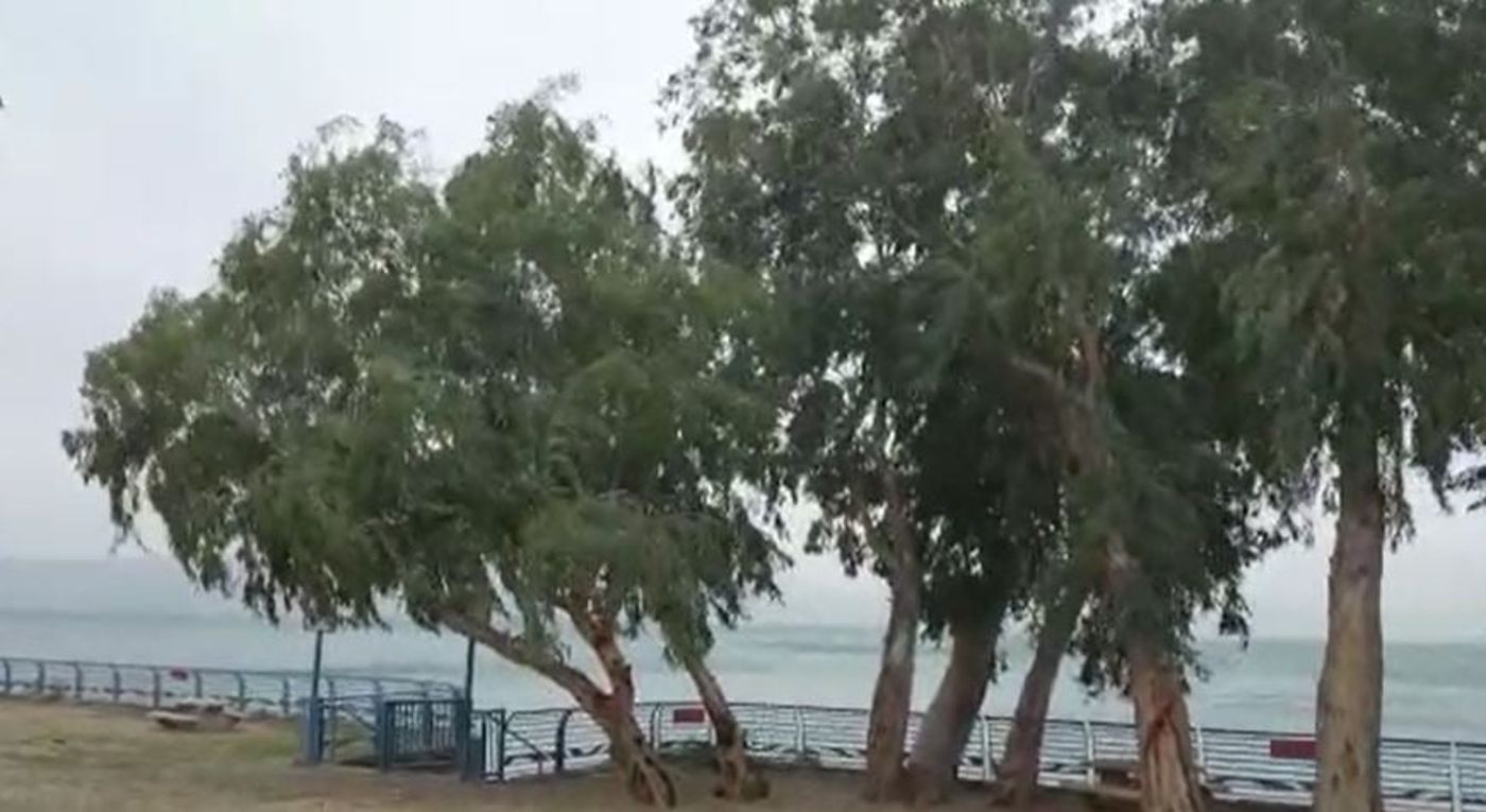 רוחות עזות בכנרת; ארבעה חופים נסגרו: צפו בתיעוד