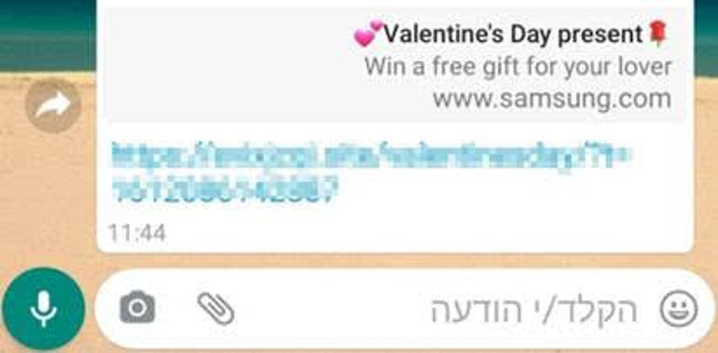 הונאת הוולנטיינס (צילום מסך)