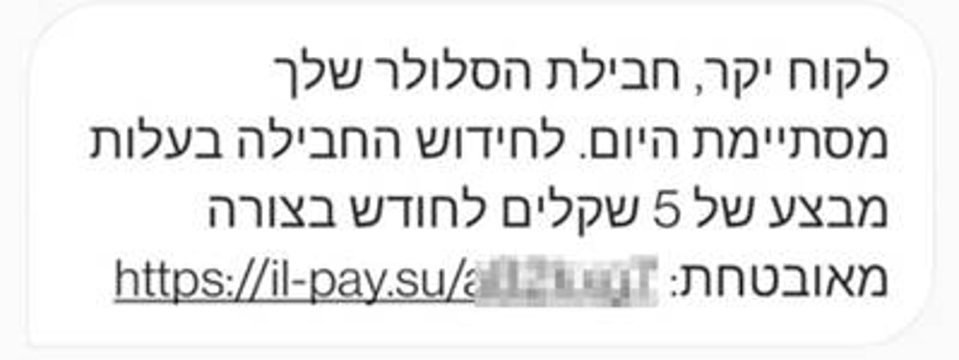 זוכרים? (צילום מסך)