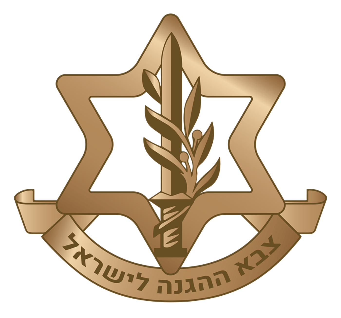 מהיום: כך נראה הסמל החדש של צה"ל