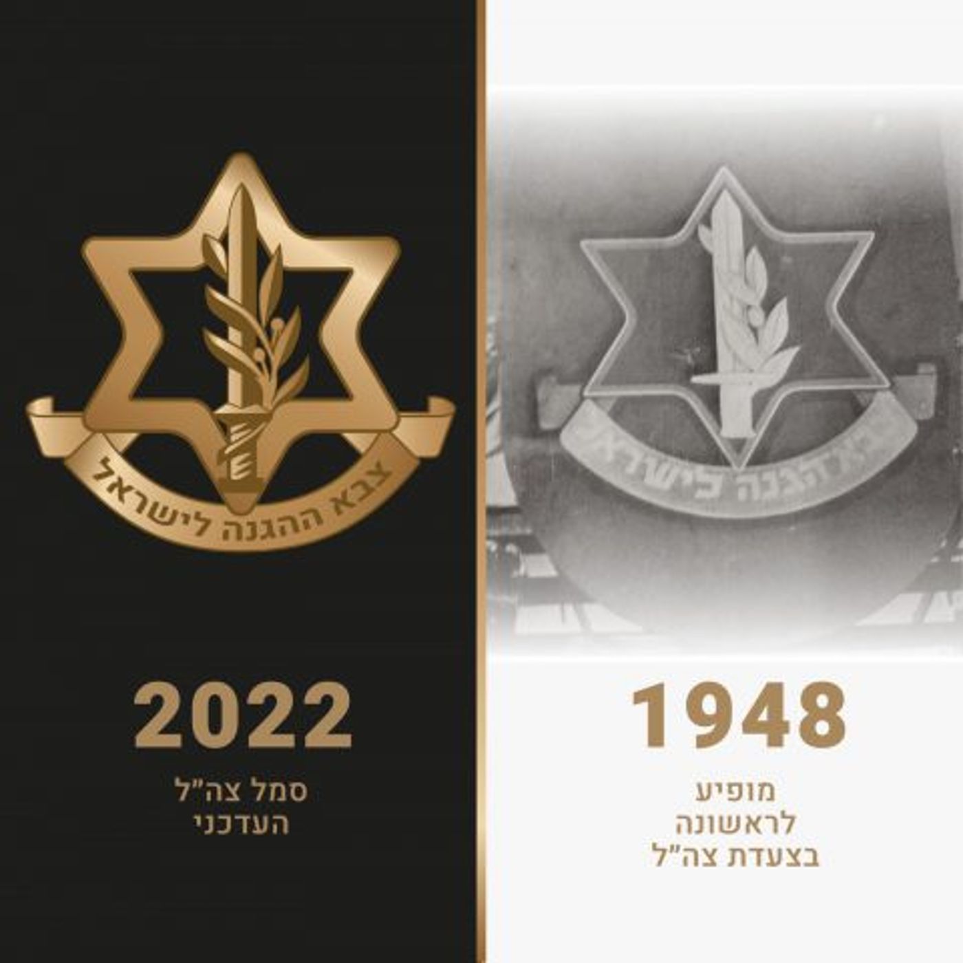 מהיום: כך נראה הסמל החדש של צה"ל