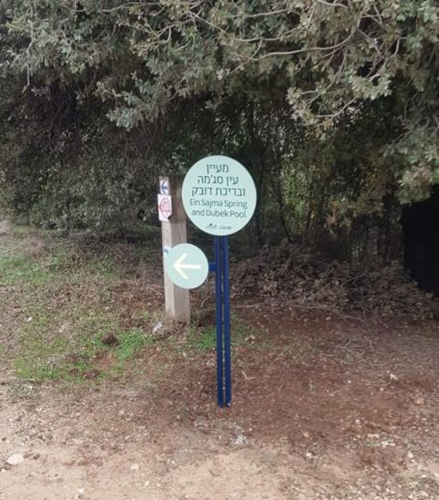 שילוט לעין סג'מה וברכת דובק (קרדיט: אגף התיירות של גוש עציון)