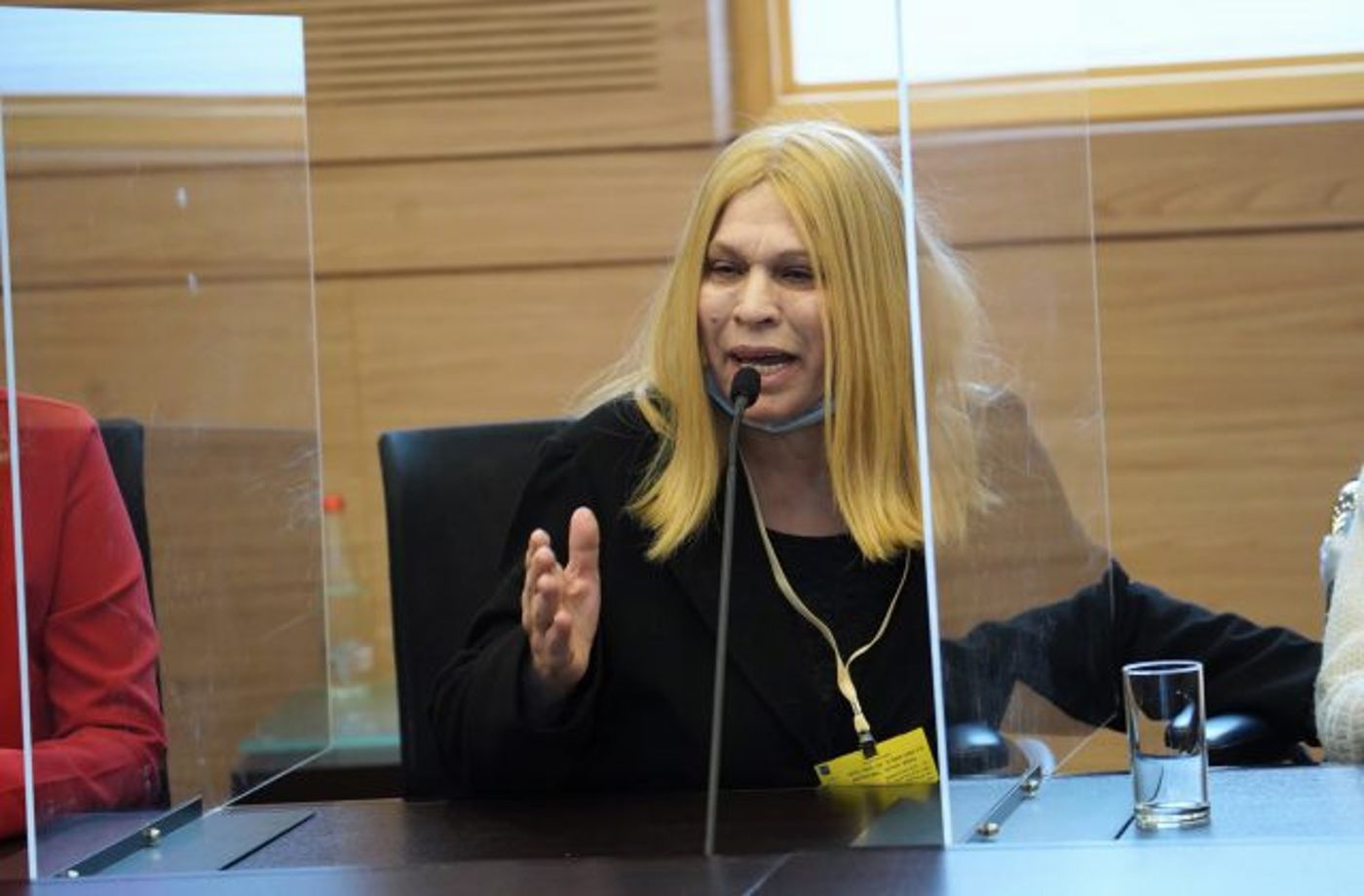 (קרדיט: דני שם טוב דוברות הכנסת)