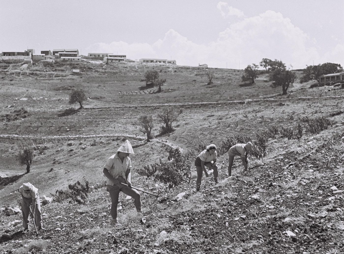 היום בהיסטוריה: חלל נצר אחרון הצעיר ביותר