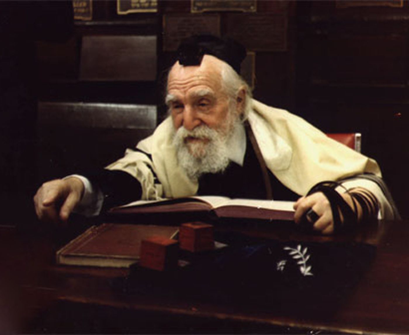 הרב משה פיינשטיין (מתוך: ויקיפדיה)