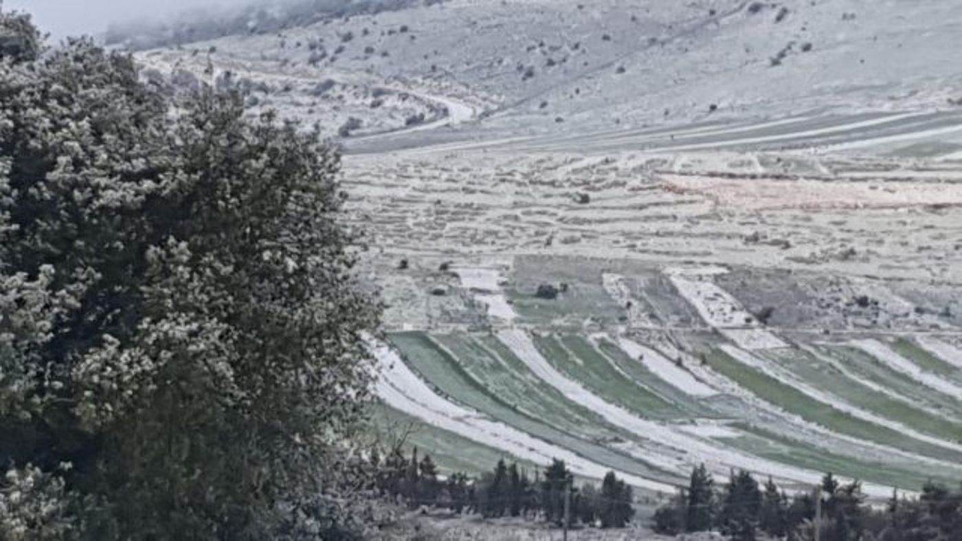 שלג בקיבוץ מלכיה שבגליל.