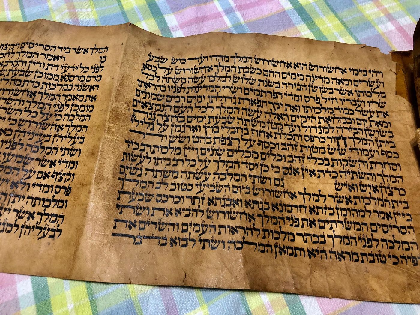 סיפורה של מגילה עתיקה: "כשאני מחזיק בה אני רועד"