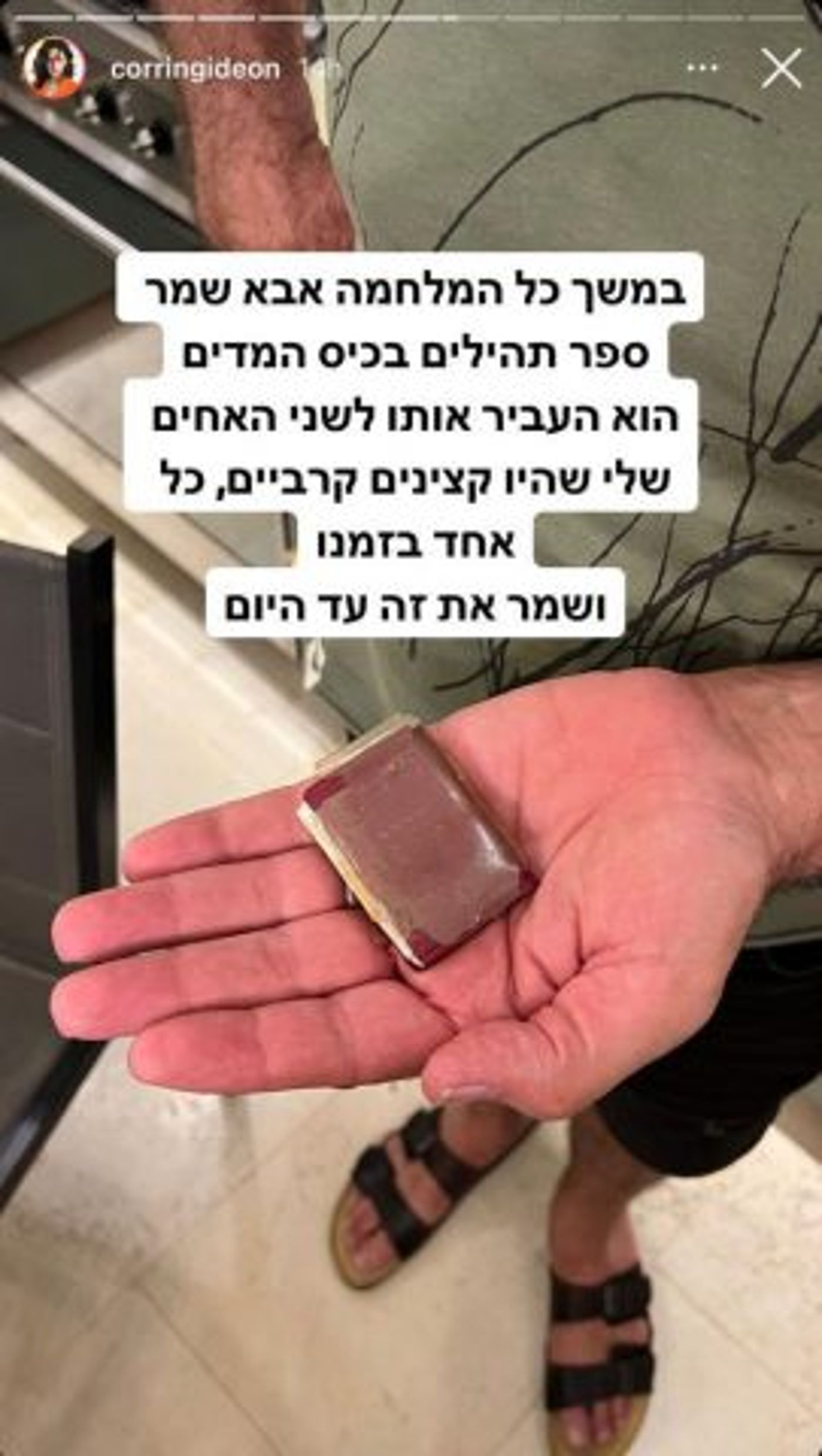 (צילום מסך מהסטורי של קורין)