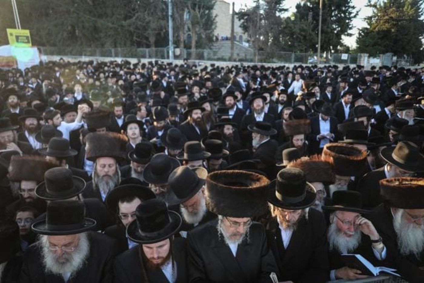 ההמונים בהר מירון