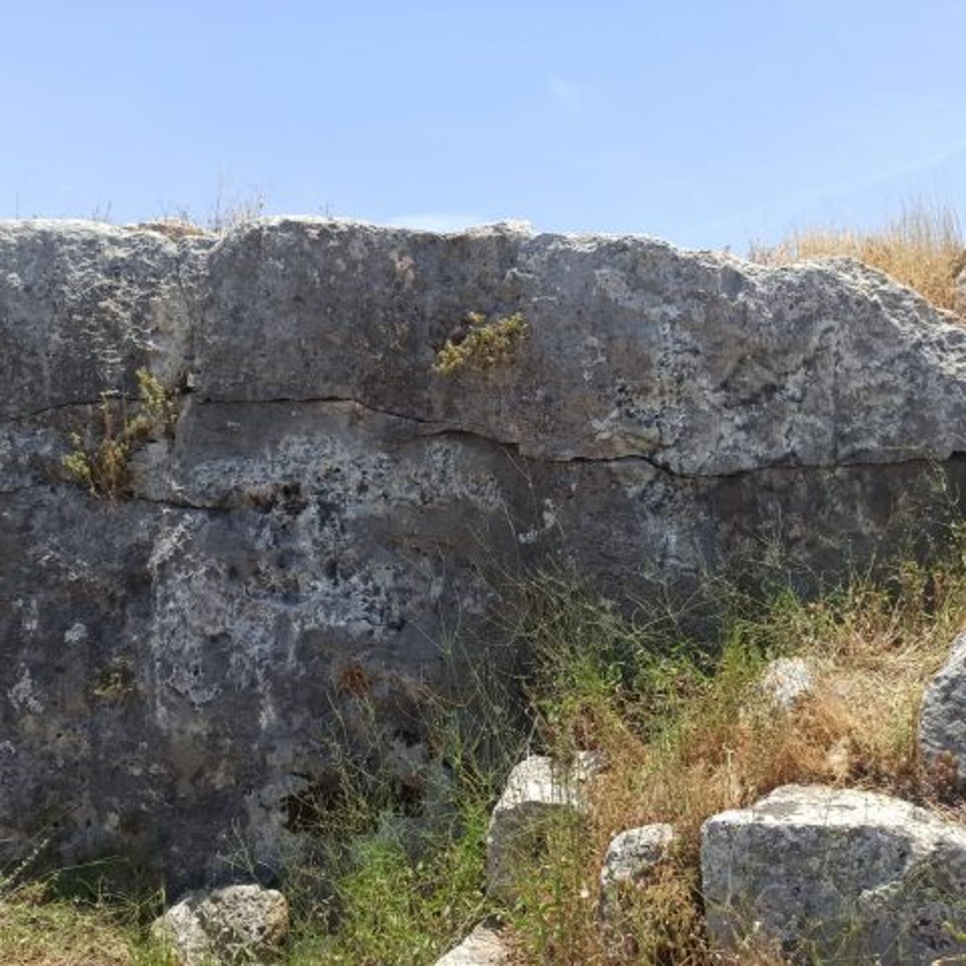 אתר צרדה אחרי הניקוי (ועדת קרקעות גוש מערבא)