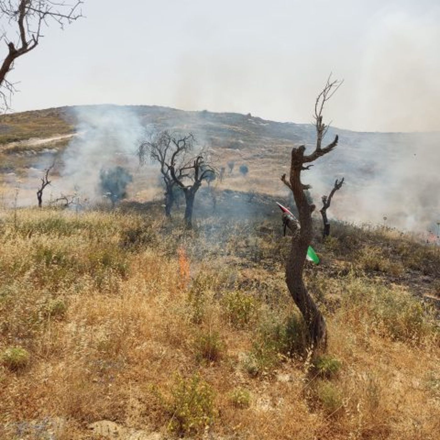 דגל פלסטין תלוי במקום השריפה (קרדיט: כבאות והצלה יו"ש)