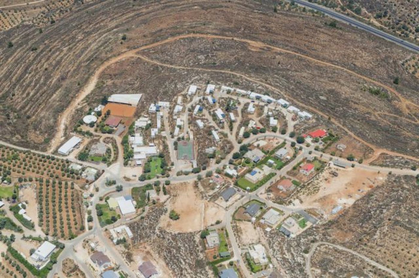 קרדיט: פורום ההתיישבות הצעירה