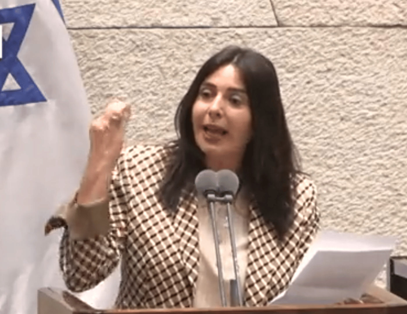ריב מעל דוכן המליאה בין הח"כיות רגב ובן ארי | צפו