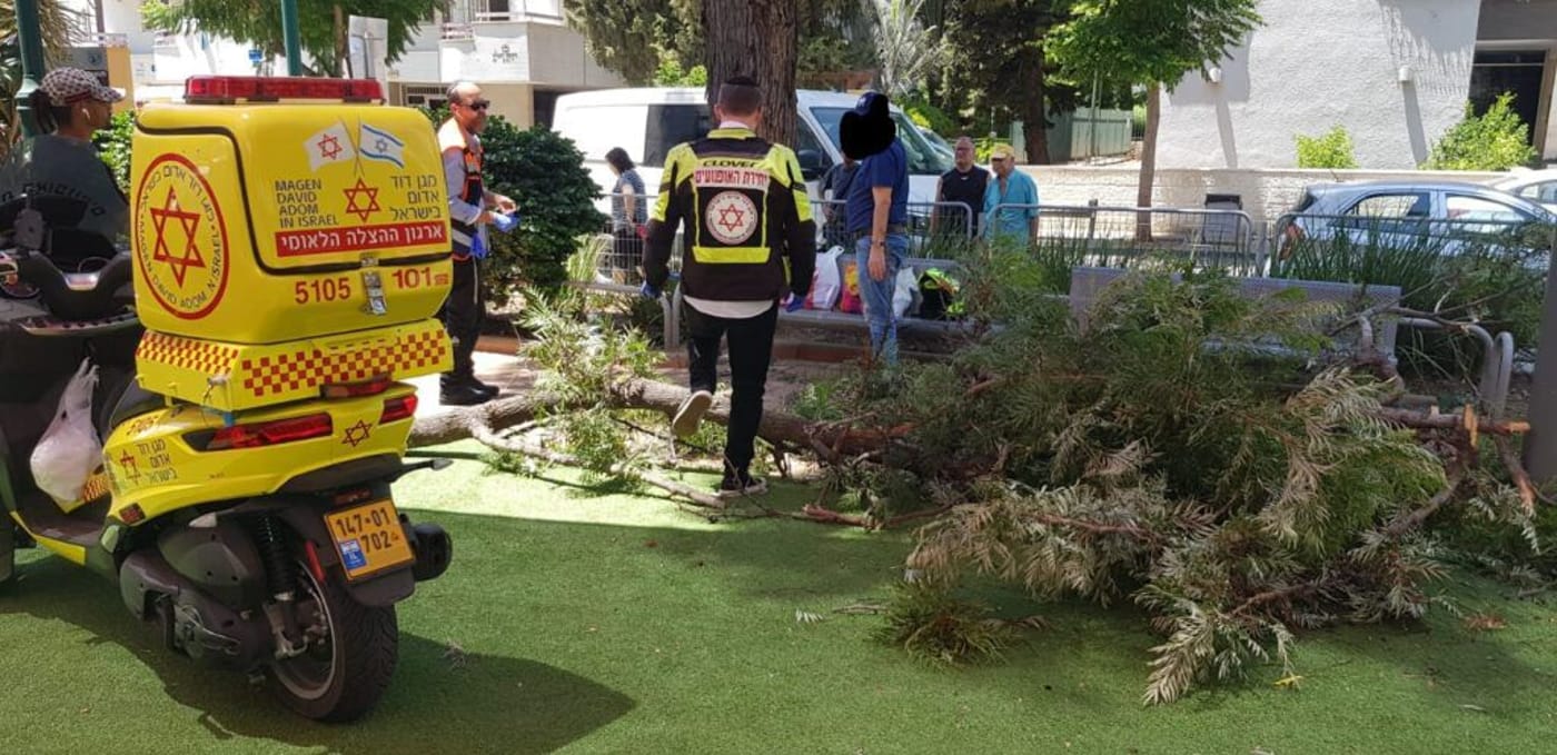 ראשל"צ: אישה נפצעה באורח בינוני מקריסת עץ