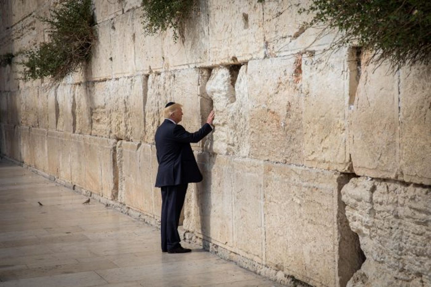 דונלד טראמפ, נשיא ארה"ב
