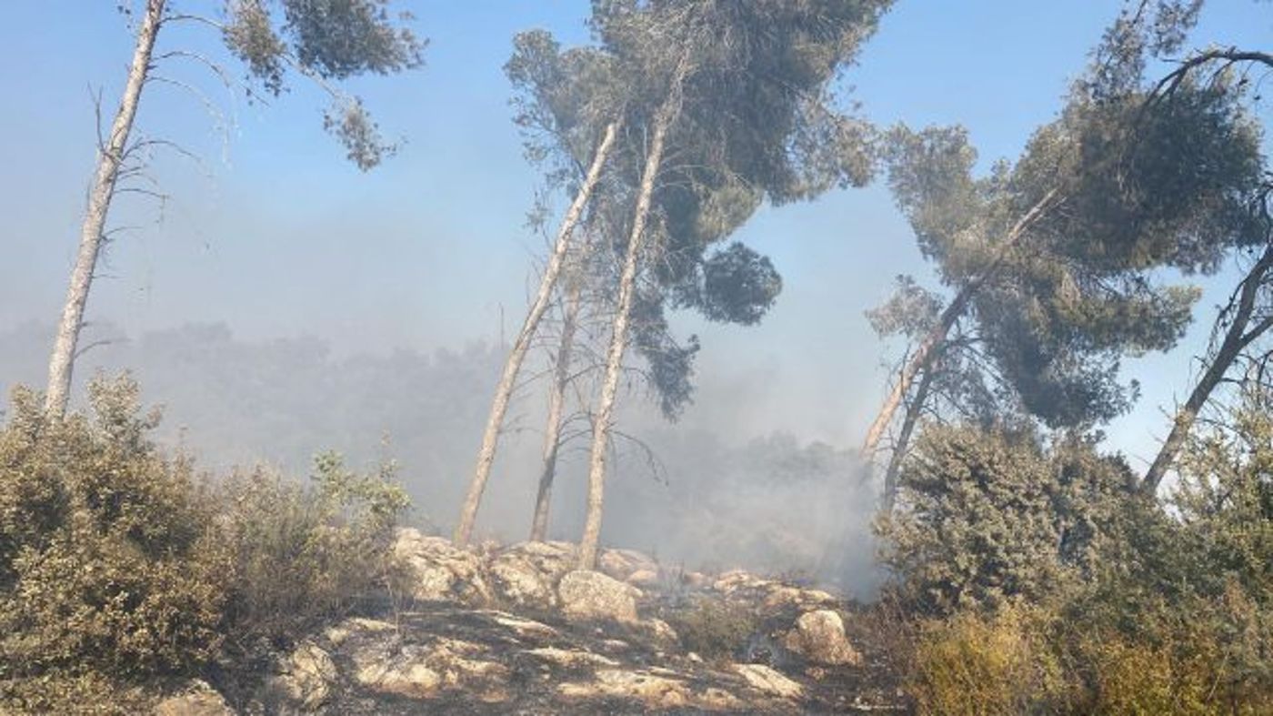השריפה בהר תבור