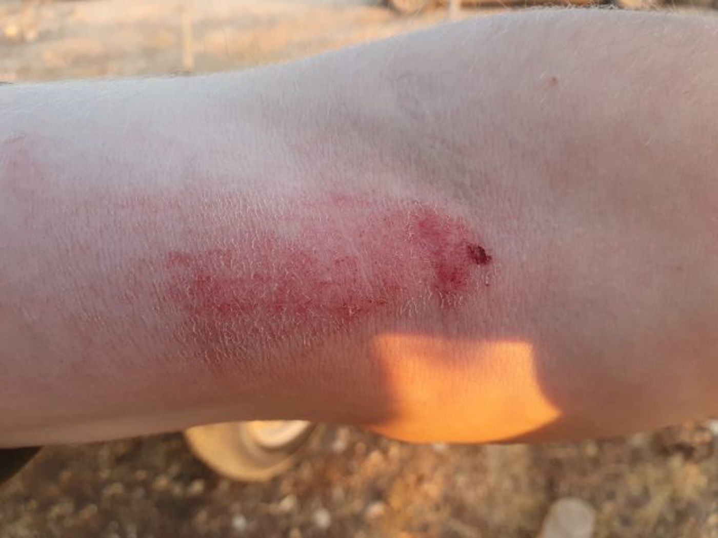 בפעם השניה בתוך שבוע: הרס ברמת מגרון. צפו בתיעוד
