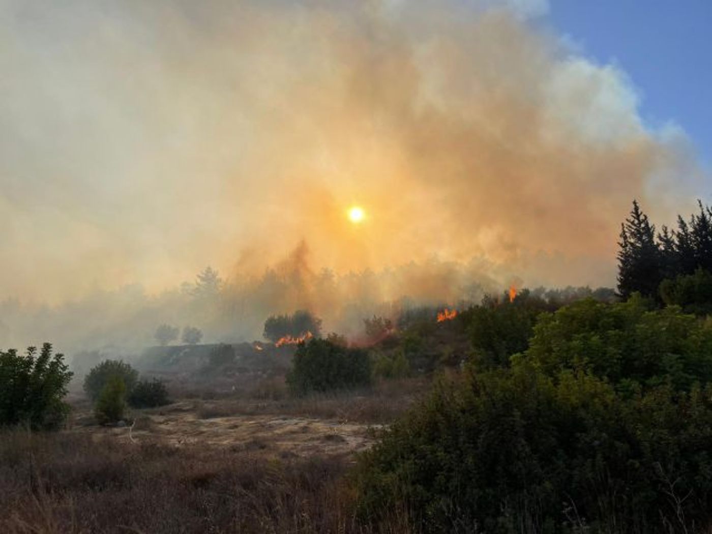 השריפה המתפשטת באזור בית שמש