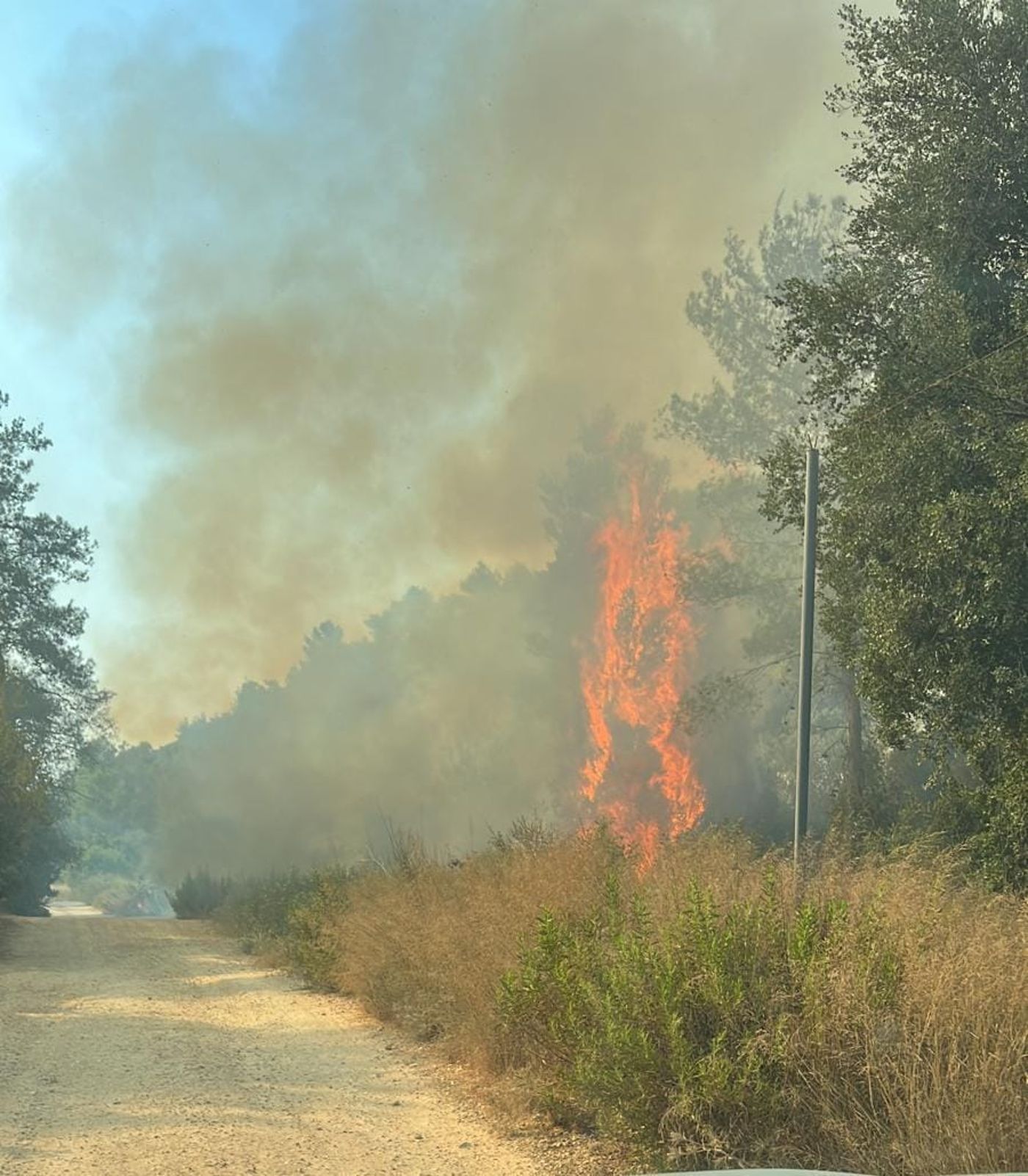 שריפה פרצה ליד בית מאיר, עשרות צוותי כיבוי במקום
