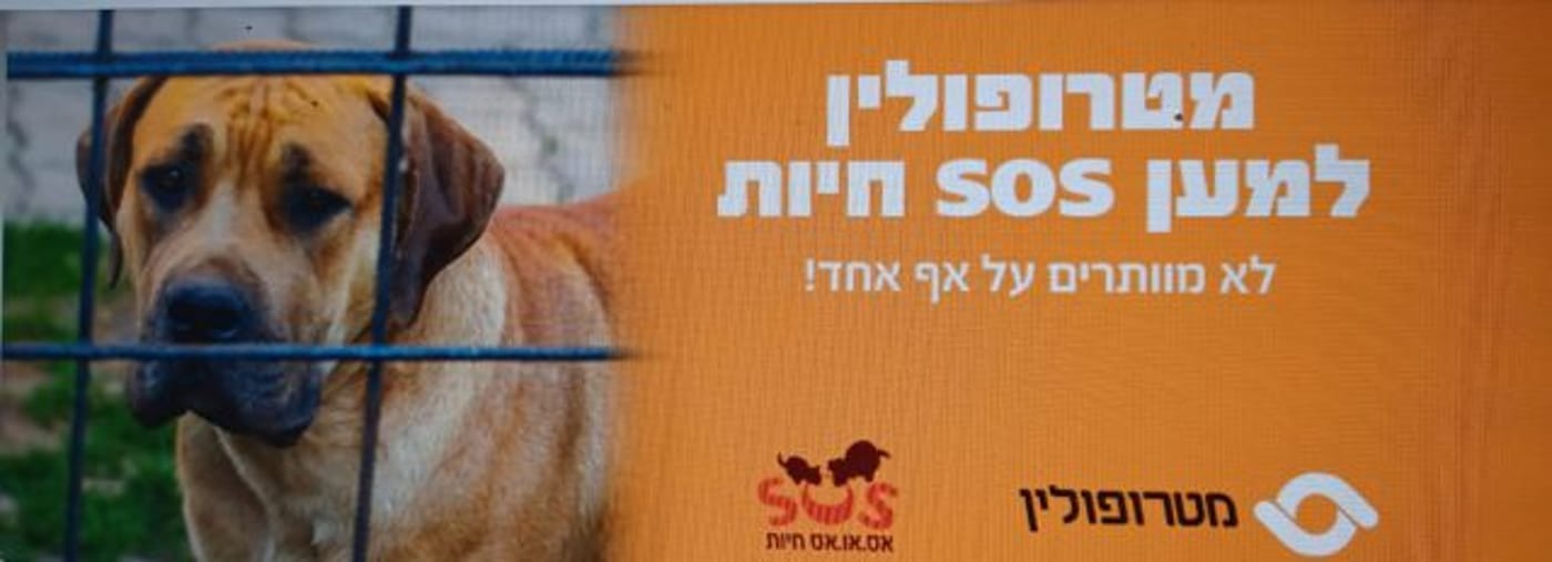 (צילום מסך מתוך פייסבוק)